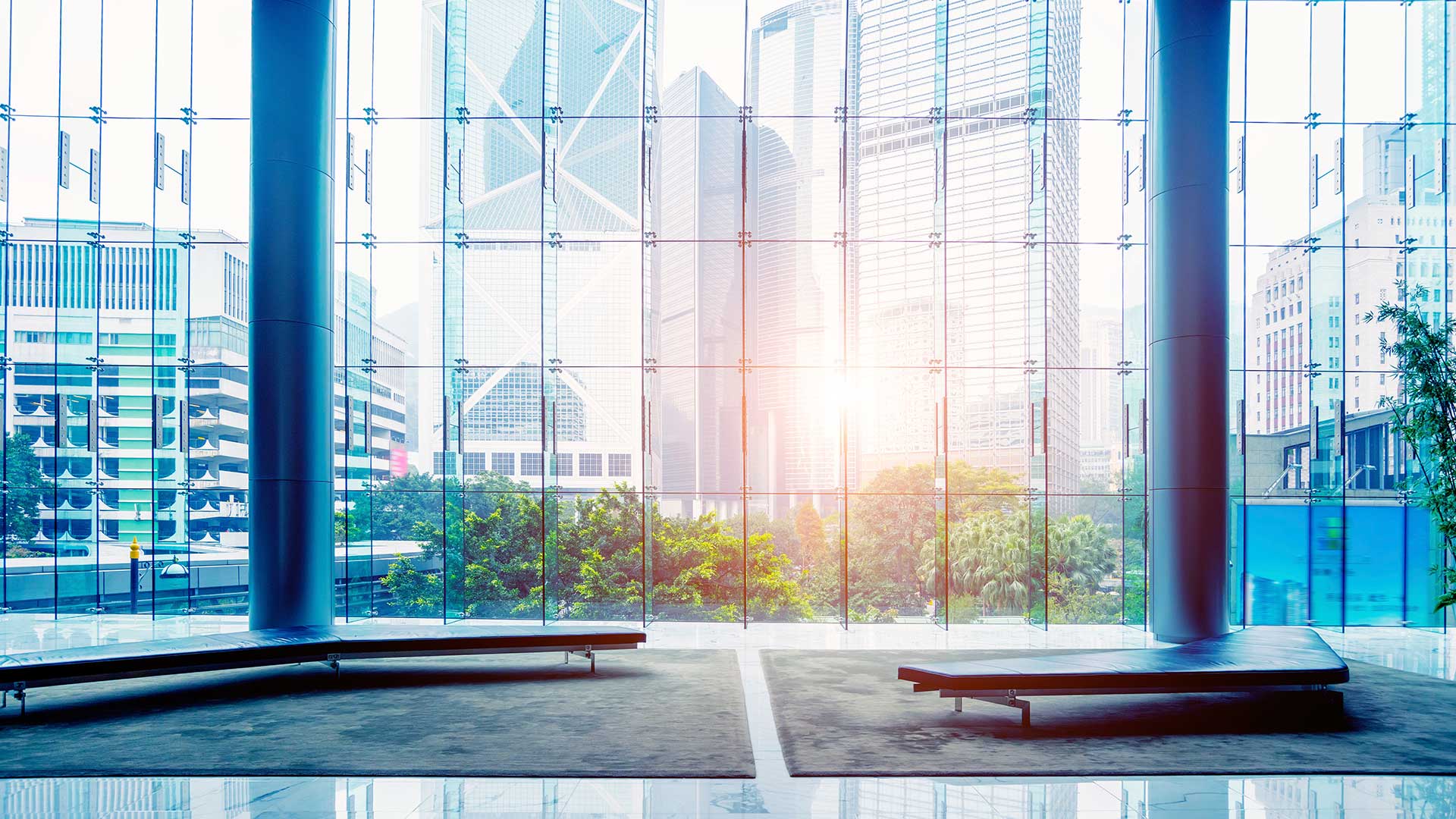 Commercial Window Cleaning